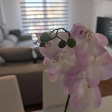 Piso Centrico * アルミージャ